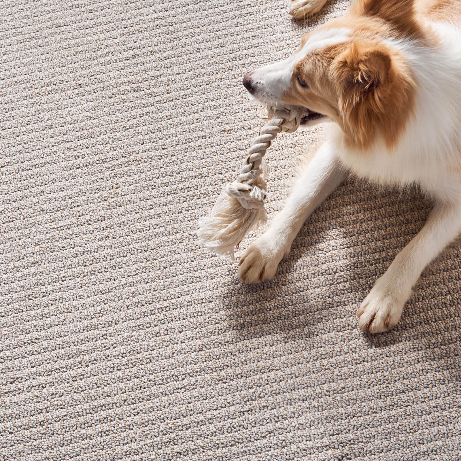 carpet flooring | McSwain Carpet & Floors