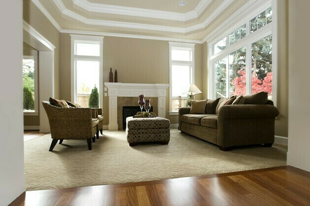 Interior architecture New Luxury Living Room modern | McSwain Carpet & Floors